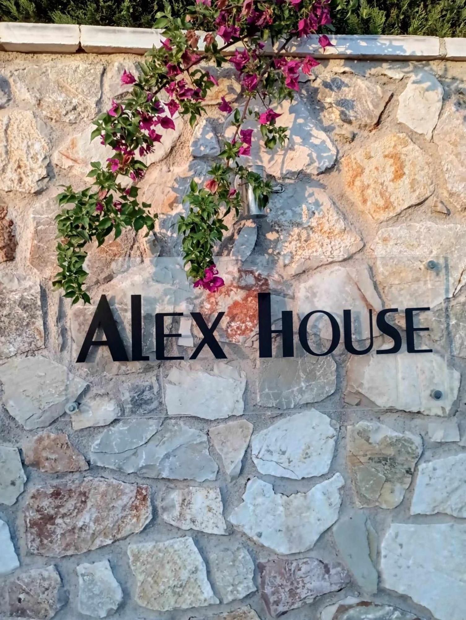 扎哈罗Alex House公寓式酒店 外观 照片